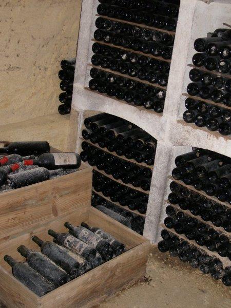 Wine Auction, cellar